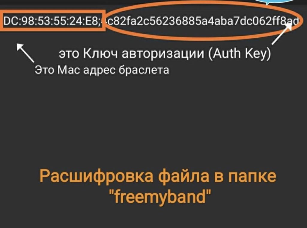 Зображення з ключем авторизації та MAC-адресою браслета для розшифровки файлу.