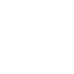 Elite Euro Motorworks BMW repair and maintenance shop in action.