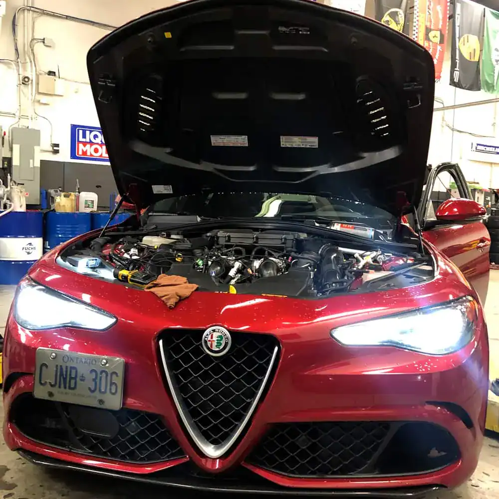 Gallery-Alfa-1