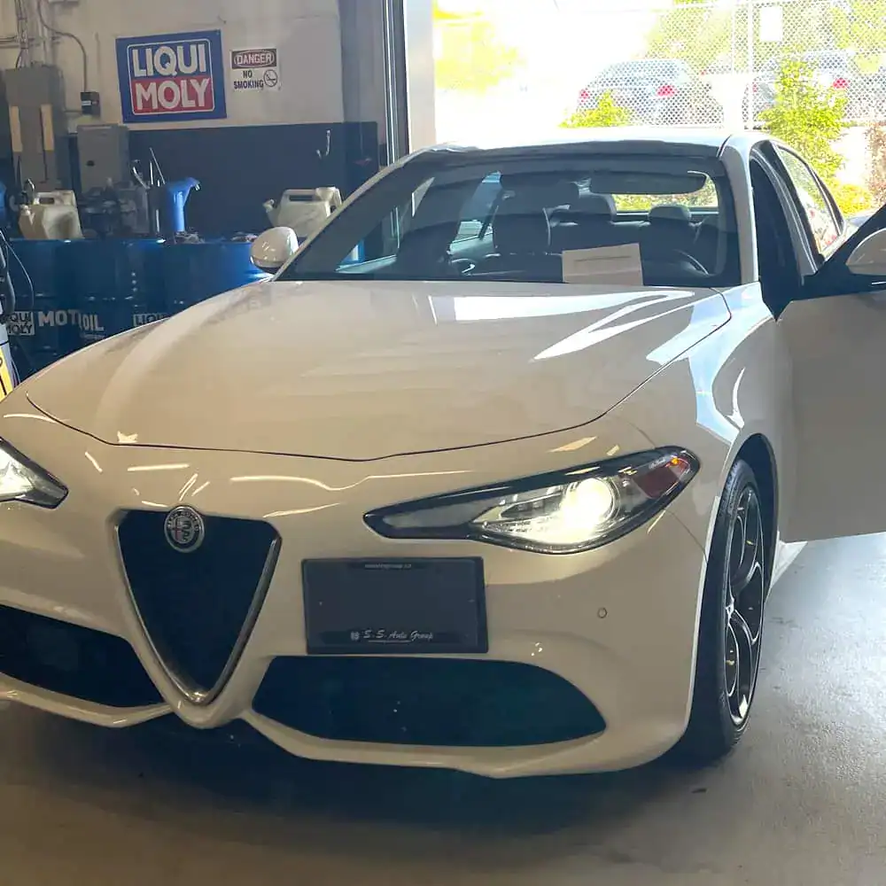 Gallery-Alfa-2