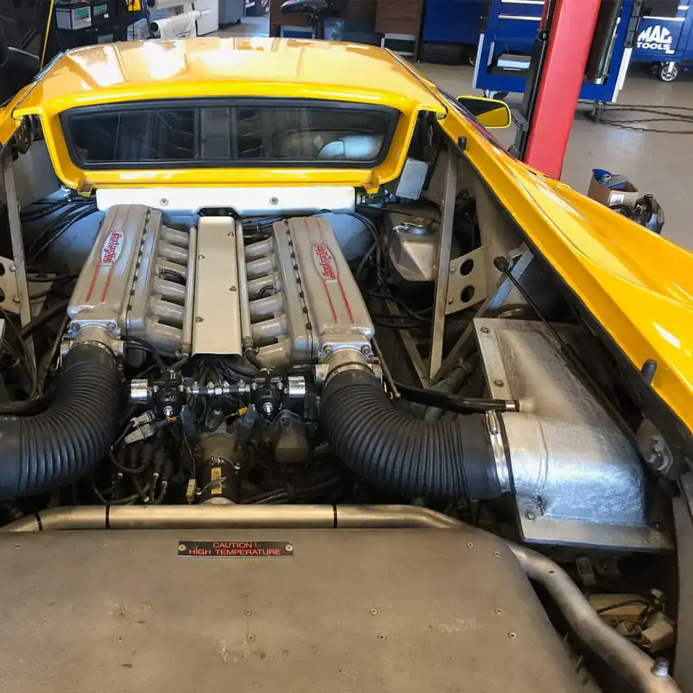 Gallery-Alfa-4