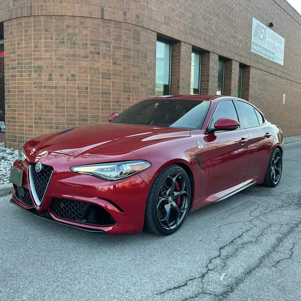 Gallery-Alfa-6.JPG