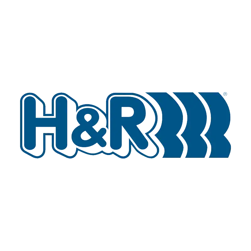 H&R Special Springs
