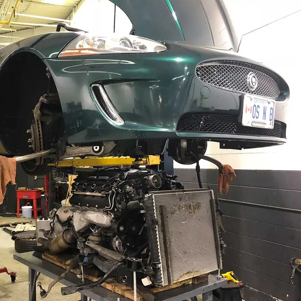 Jaguar_Service-03.JPG.webp