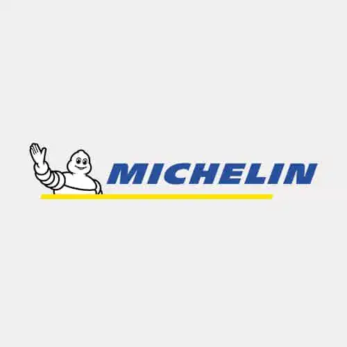 logo-michelini.JPG.webp