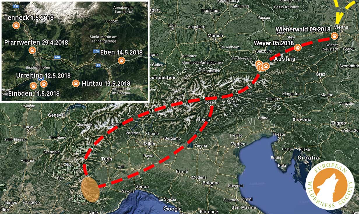 Wolf Route Salzburg 2018
