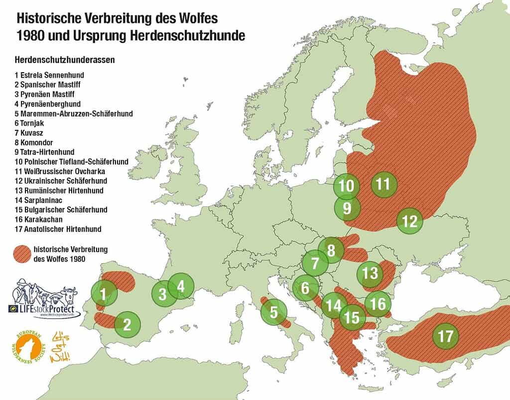 Herdenschutzhunde Rassen in Europa