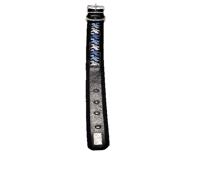 Correa para perro ajustable, resistente y duradera, ideal para entrenamiento y paseo, hecha con materiales de alta calidad y con diseño moderno.