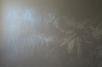 Pic1a