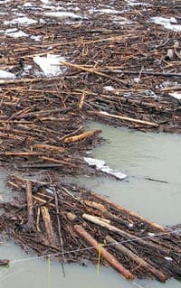 Logjam