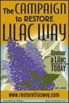 LilacWayCampaign