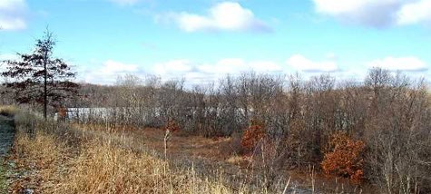 Openspace
