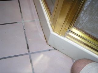 Leaking Shower Door