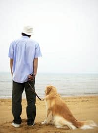 Mandogbeach
