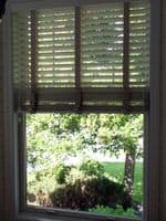 Window1