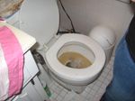 Toilet1