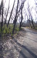 Brookview-trail1