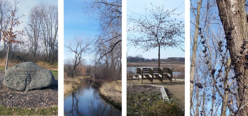 Brookview nature 4