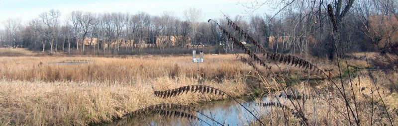Brookview nature 3