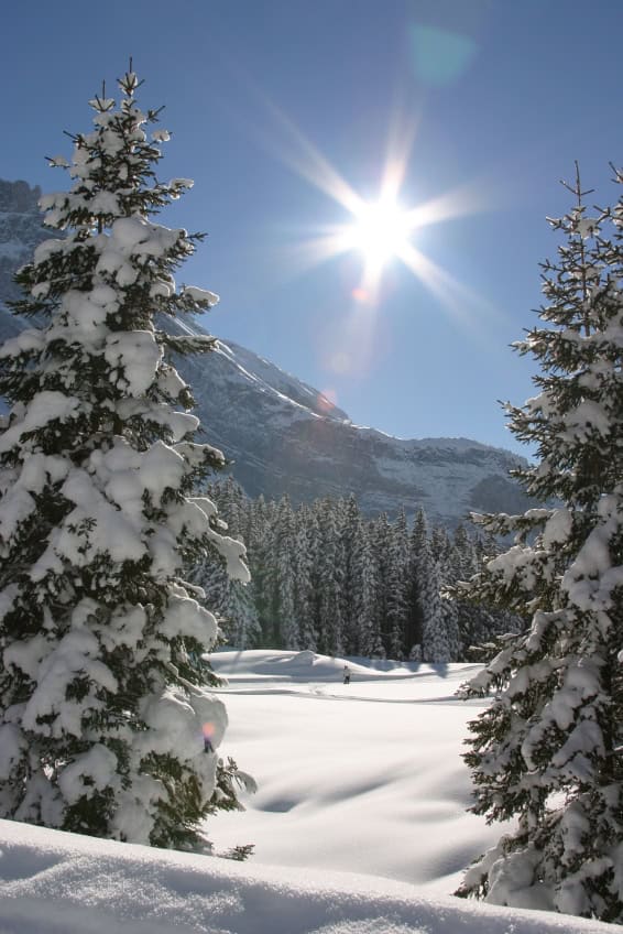 Winter