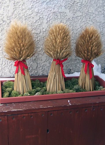 Ingebretsens-wheat