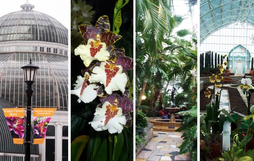 Como-conservatory4