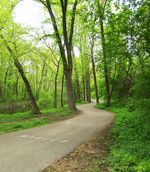 Trail1