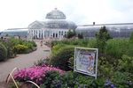Como Park Conservatory