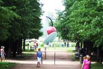 Minneapolis Sculpture Garden