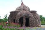 Minnesota Landscape Arboretum