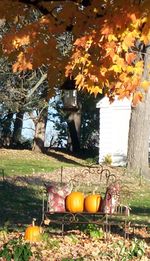 Fall1
