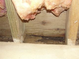 Wet Wood Foundation 2