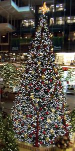 Xmas-idstree