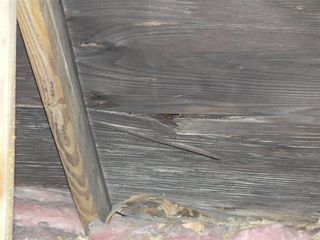 Delaminated Plywood