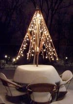 Snow-table1