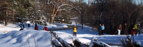 Wirth-skiing1