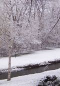Snow-april11