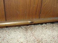 Freeze damaged radiator pipe