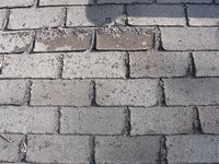 Deteriorated shingles