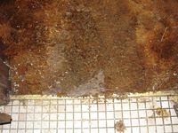 Dirty Floor