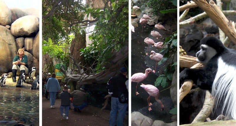 Zoo-nov11-inside