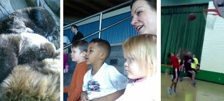 Zoo-bball-jan2012