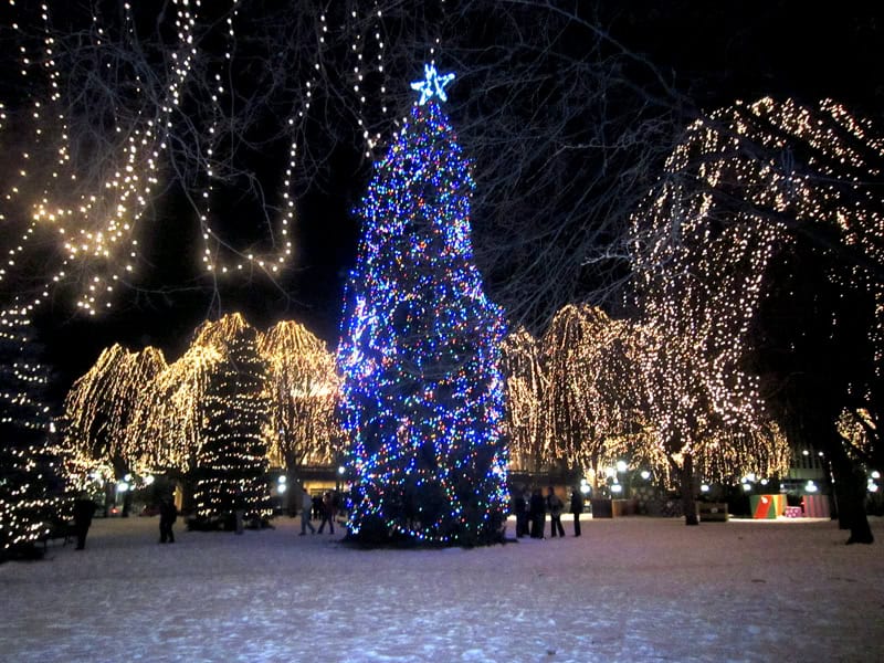 Xmas-rice pk tree