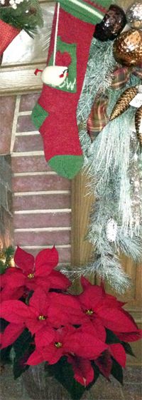 Xmas-stocking