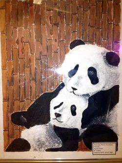 Kenneday-pandas1
