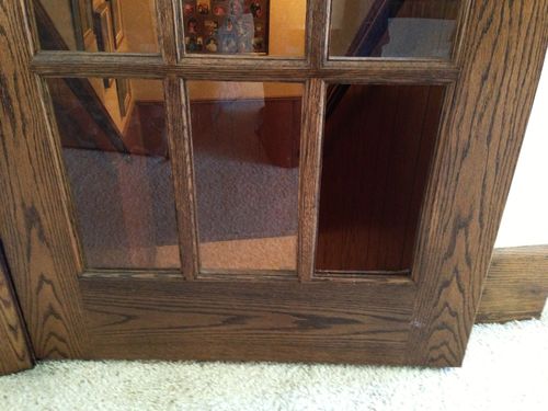 Cat door