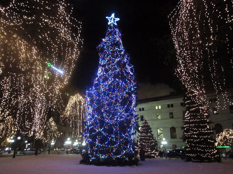 Xmas tree-rice park