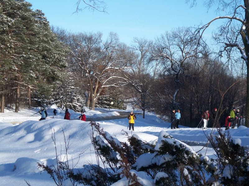 Wirth-skiing1