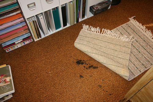 Rug over stain