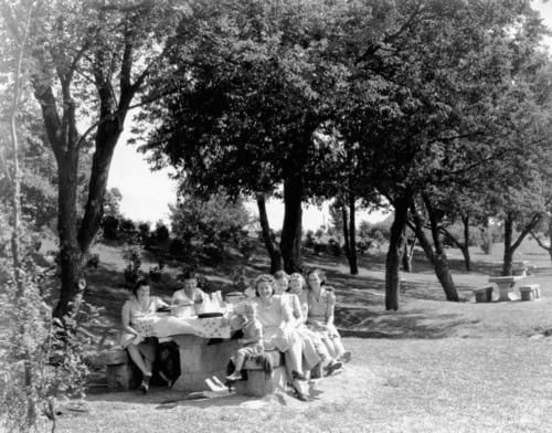 Hwy100-picnic